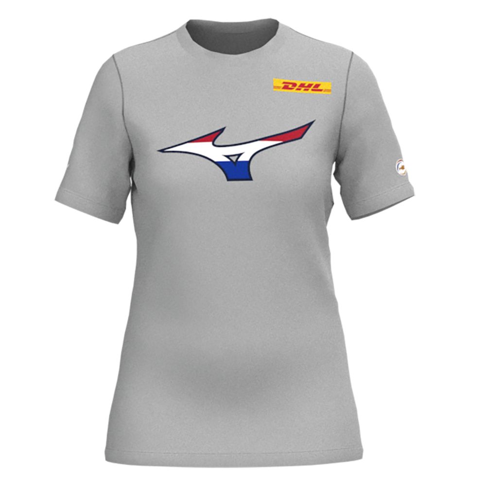 Mizuno Nevobo Nederland T-shirt Gris | DIYC-90147